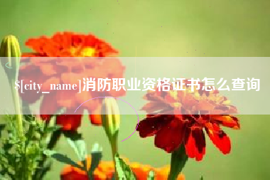 扶余消防职业资格证书怎么查询