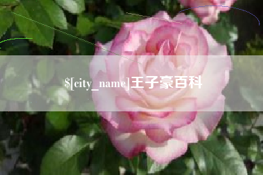 扶余王子豪百科