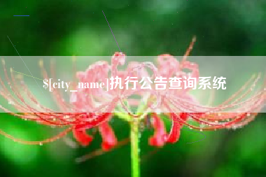 扶余执行公告查询系统