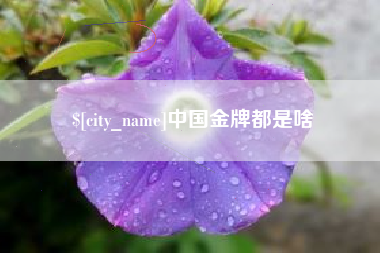 扶余中国金牌都是啥