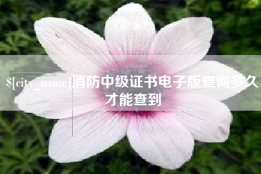 扶余消防中级证书电子版查询多久才能查到