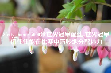 扶余5000米世界冠军配速-世界冠军们往往能在比赛中巧妙地分配体力