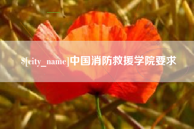 扶余中国消防救援学院要求