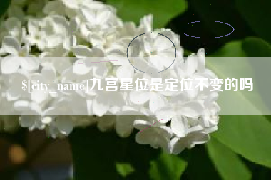 扶余九宫星位是定位不变的吗