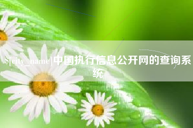 扶余中国执行信息公开网的查询系统