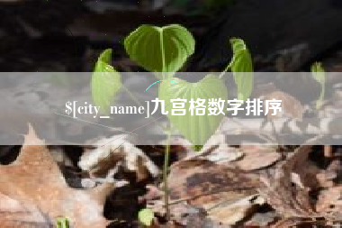 扶余九宫格数字排序