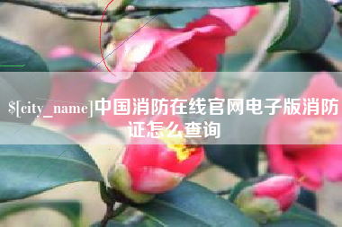 扶余中国消防在线官网电子版消防证怎么查询