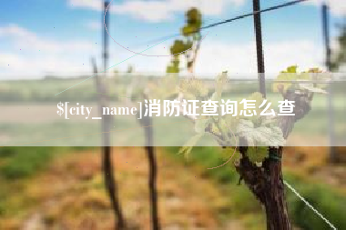 扶余消防证查询怎么查