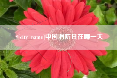 扶余中国消防日在哪一天