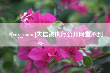 扶余失信被执行公开网查不到