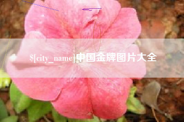 扶余中国金牌图片大全