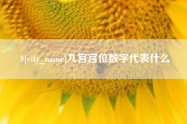 扶余九宫宫位数字代表什么
