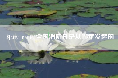 扶余全国消防日是从哪年发起的
