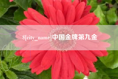 扶余中国金牌第九金