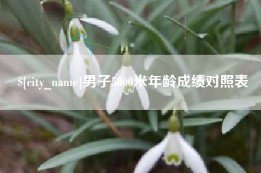 扶余男子5000米年龄成绩对照表