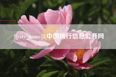 扶余1.中国执行信息公开网