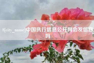 扶余中国执行信息公开网会发信息吗