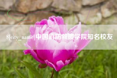扶余中国消防救援学院知名校友