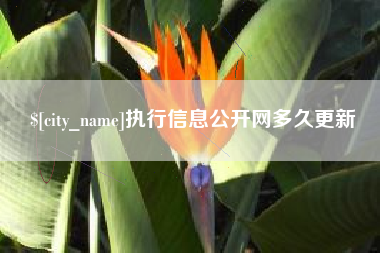 扶余执行信息公开网多久更新