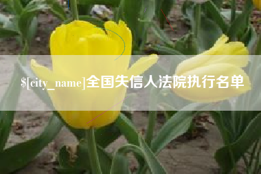 扶余全国失信人法院执行名单