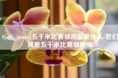 扶余五千米比赛领跑员是什么-他们就是五千米比赛领跑员