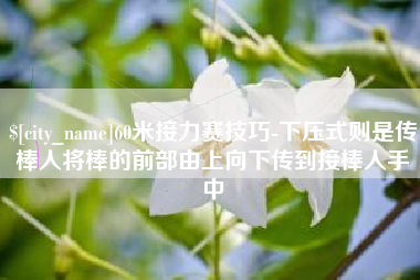 扶余60米接力赛技巧-下压式则是传棒人将棒的前部由上向下传到接棒人手中
