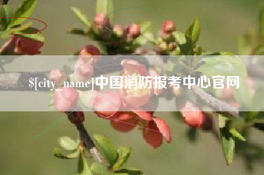 扶余中国消防报考中心官网