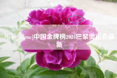 扶余中国金牌榜2024巴黎奥运会最新