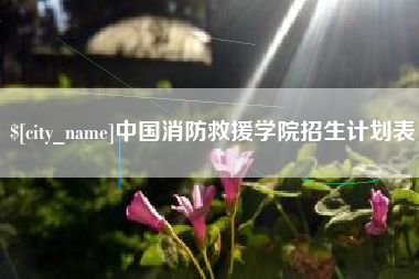 扶余中国消防救援学院招生计划表