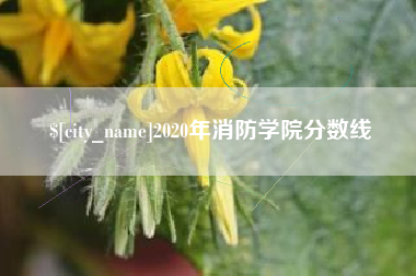 扶余2020年消防学院分数线