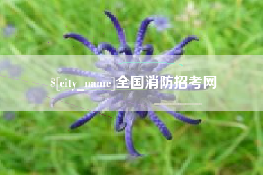 扶余全国消防招考网