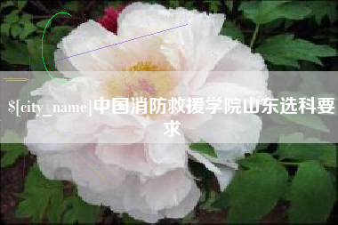 扶余中国消防救援学院山东选科要求