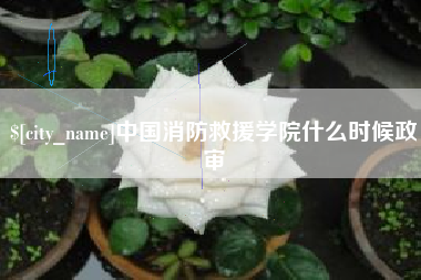 扶余中国消防救援学院什么时候政审