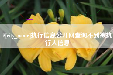 扶余执行信息公开网查询不到被执行人信息