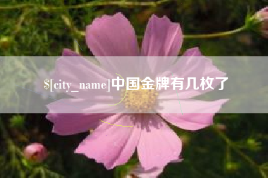 扶余中国金牌有几枚了