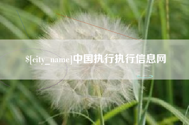 扶余中国执行执行信息网