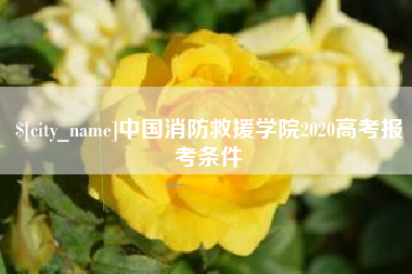 扶余中国消防救援学院2020高考报考条件