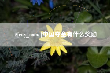 扶余中国夺金有什么奖励