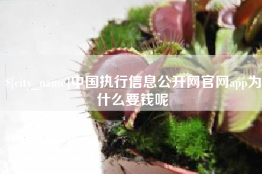 扶余中国执行信息公开网官网app为什么要钱呢