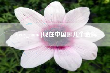 扶余现在中国哪几个金牌
