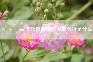 扶余九宫格数字代表的五行是什么