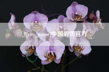 扶余中国消防官方