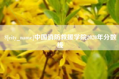 扶余中国消防救援学院2020年分数线