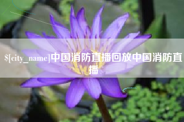 扶余中国消防直播回放中国消防直播