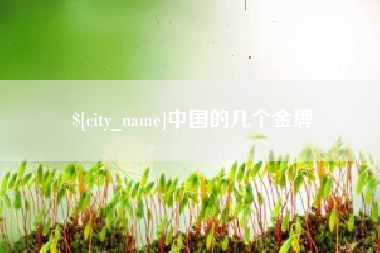 扶余中国的几个金牌