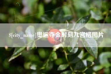 扶余奥运夺金时刻九宫格图片