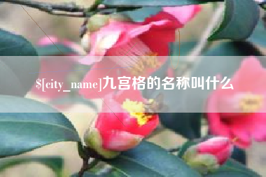 扶余九宫格的名称叫什么