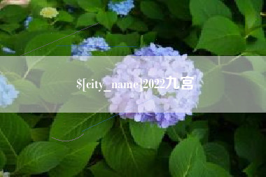 扶余2022九宫