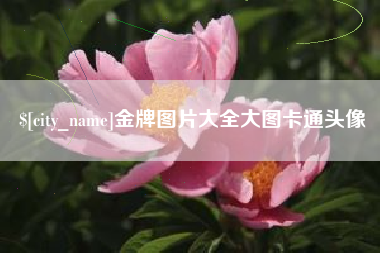 扶余金牌图片大全大图卡通头像