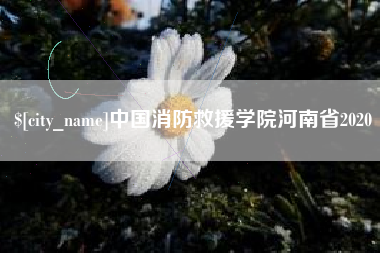 扶余中国消防救援学院河南省2020